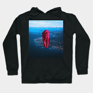 Tigre walk Hoodie